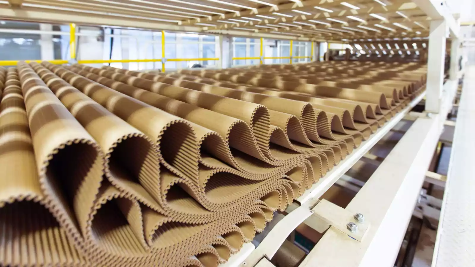 Paper Market